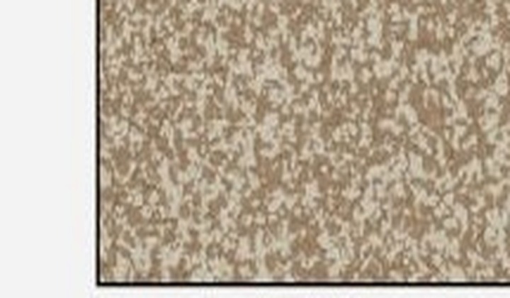 Pecan decorative flake floor coating sample