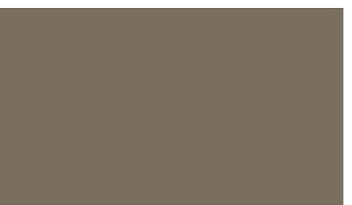 Beachwood solid color floor coating sample
